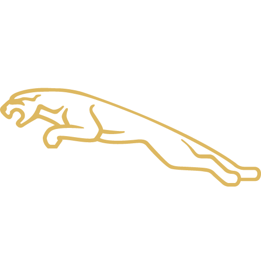 jaguar-alt-svgrepo-com jaguar-alt-svgrepo-com